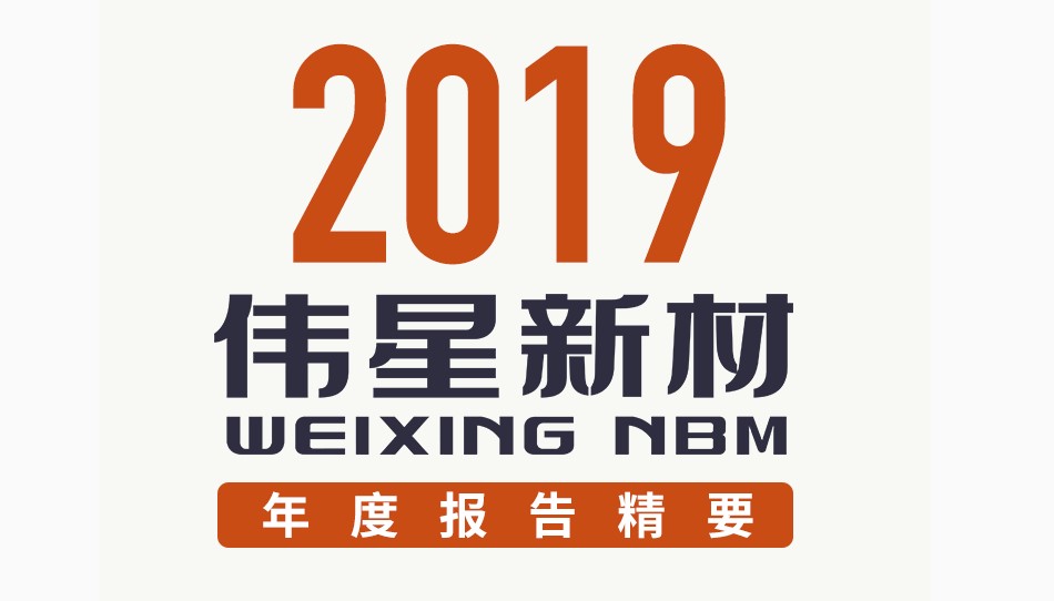 一图看懂伟星新材2019年报