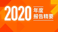 伟星新材2020年度报告精要