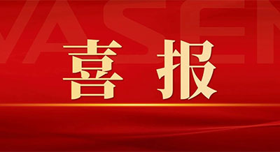伟星新材荣获2024年中国轻工业数字化转型 “领跑者”