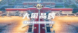大国品牌｜全球顶流机场的信赖之选，伟星助建柬埔寨最大机场