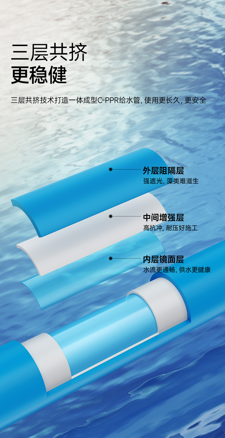 蓝梦详情3.jpg
